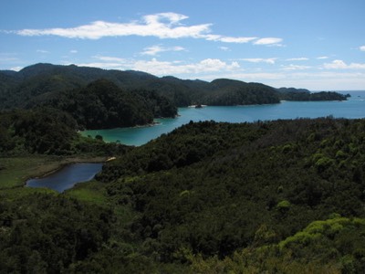 Bay in able tasman