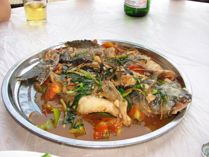Beer fish