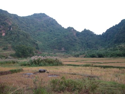 Cat ba national park