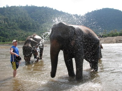 Elephant shower