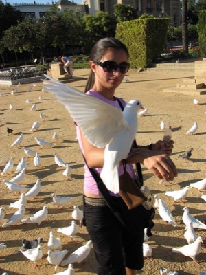 Feeding doves in sevilla