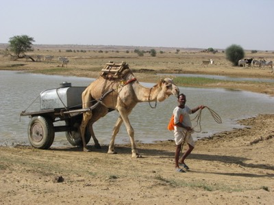 Filling a water tank at oasis