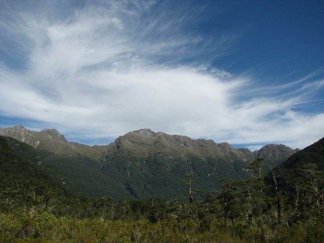 Forest mountain sky