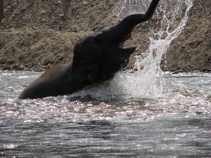 Fun in the water