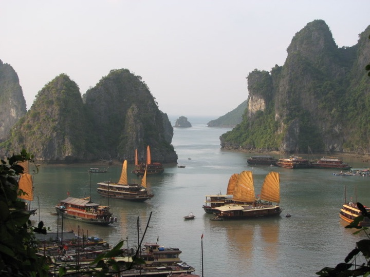 Halong bay boats