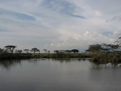 Hippo pool