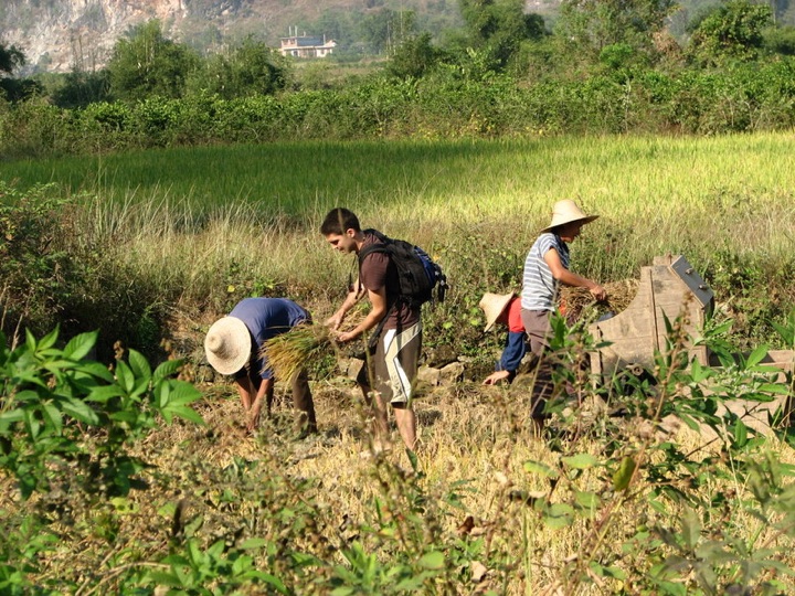 Joe helping farmers