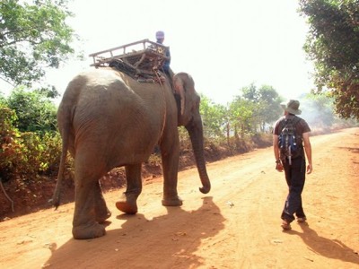Joe walking elephant