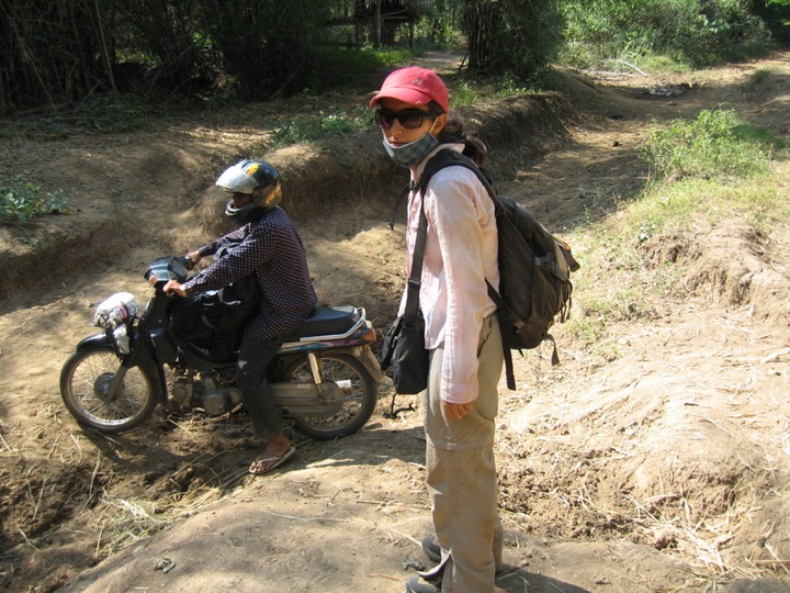 Jungle road