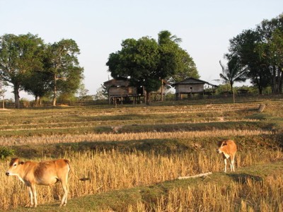 Katang minority village