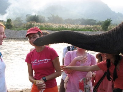 Kissing elephant
