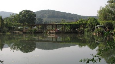 Longjing tea house
