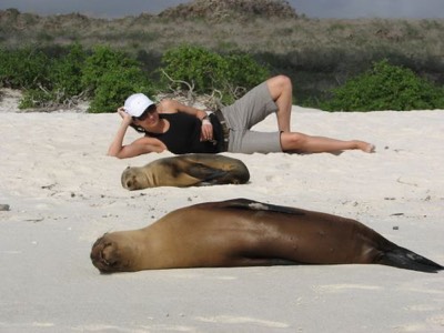 Lounging with Sea Lions