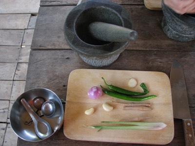 Making green curry paste