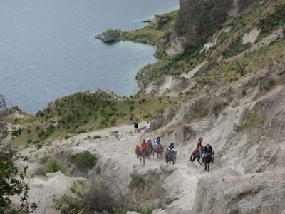 Mules transporting people back up