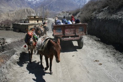 New road and old mules