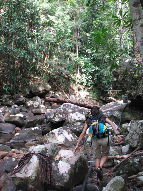 Path to waterfall