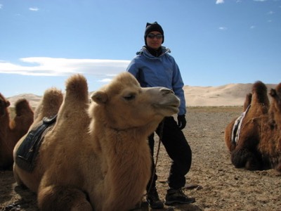 Penny and camel