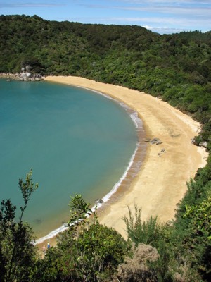 Postcard beach in able tasman
