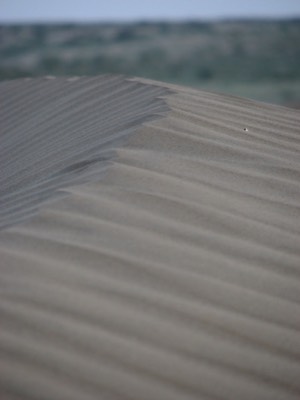 Sand ridge