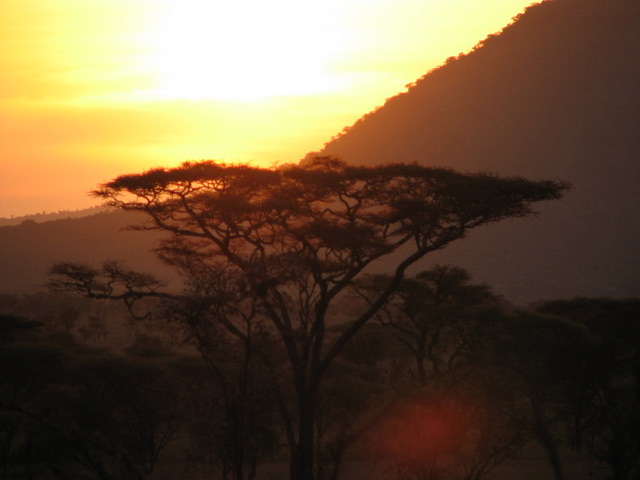 Serengeti sunset