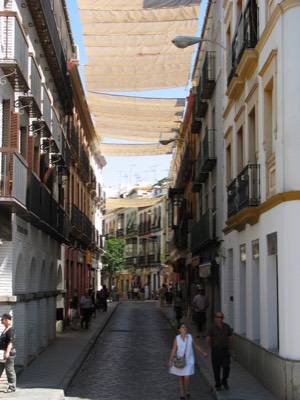 Shaded streets of sevilla