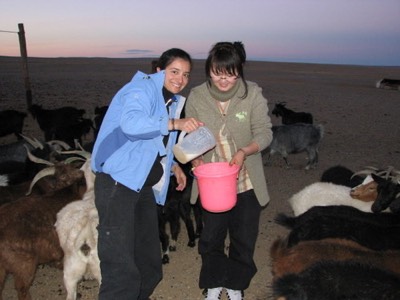 Success at milking