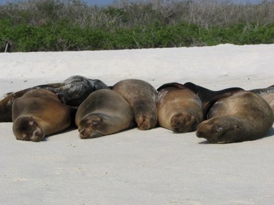 Taking a Nap