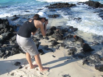 Taking Pictures of Crabs