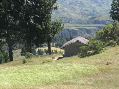 Thatch roof hut in wheat field