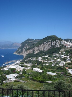 View from bus capri