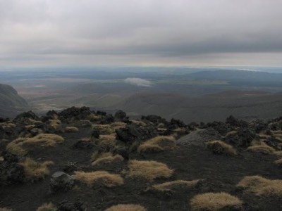 View from the saddle