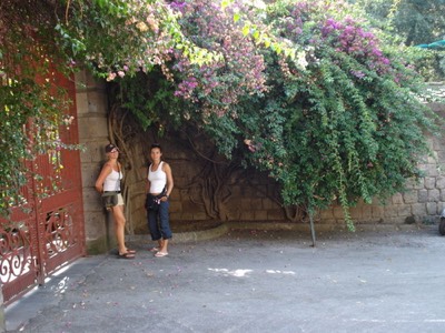 Walk through sorrento