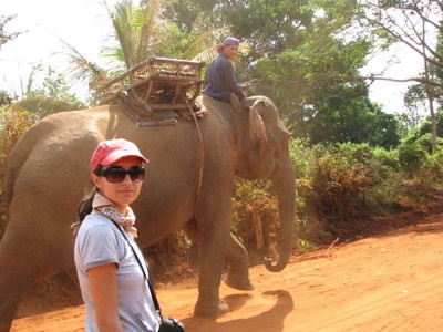 Walking an elephant