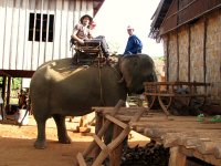 Riding_an_elephant