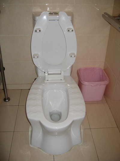 Dual_function_chinese_toilet