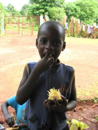 Caesar_eating_jack_fruit